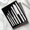 RADA  S38 The Starter Gift Set Stainless