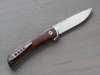 CHERNOBYL ANT - IRONWOOD