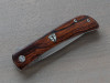 CHERNOBYL ANT - IRONWOOD