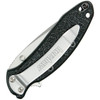 KS1620 Scallion Linerlock A/O Black