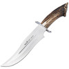 MU045 14.5" (36.83cm) overall. 9.13" (23.19cm) satin finish MoVa stainless bowie blade. Stag handle. Stainless guard. Brown leather belt sheath.