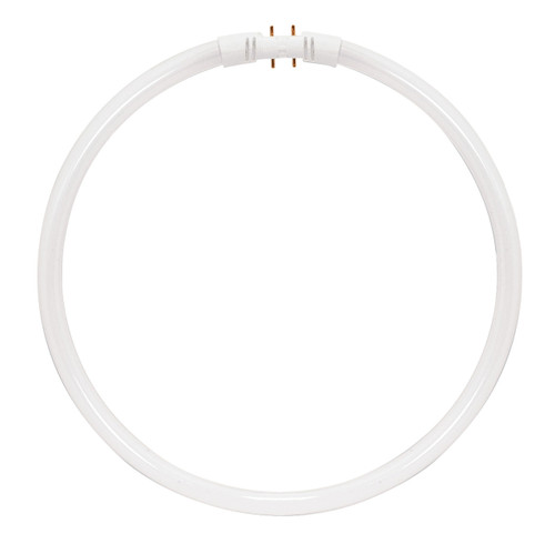 Satco | S8162 | 55W Circline Fluorescent 3500K 82 CRI 2GX13 4-Pin