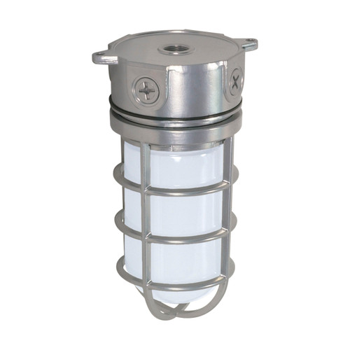 Satco | SF76-624 | 1 Light 10" Industrial Style Surface Frosted Glass Metallic Silver