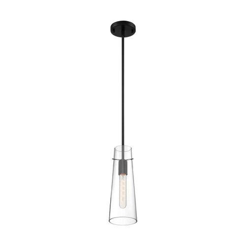 Satco | 60-6880 | Alondra 1 Light Mini Pendant Black/Clear Glass
