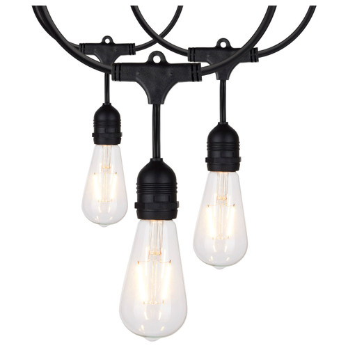 Satco | S8036 | 24Ft LED String Light 12 Vintage ST19 120V