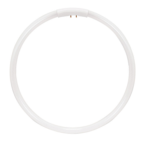 Satco | S8166 | 22W Circline Fluorescent 6500K 82 CRI 4-Pin