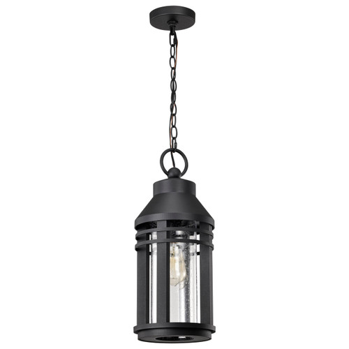 Satco | 60-8104 | Wilton 1 Light Hanging Lantern Matte Black Clear Seeded Glass