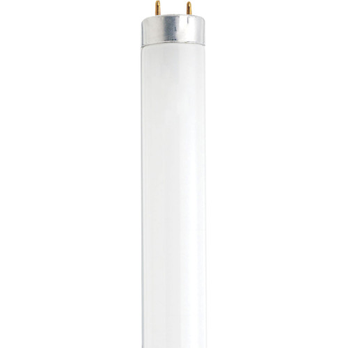 Satco | S27931 | 14 Watt Fluorescent T8 6500K Daylight Medium Bi-Pin (G13) Base