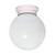 Satco | SF77-948 | 1 Light 8" Flush White Glass White Finish