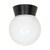 Satco | SF77-157 | 1 Light Utility Ceiling Mount 8" White Glass Black Finish