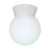 Satco | SF77-532 | 1 Light 8" Utility Ceiling Mount White Glass Globe White