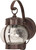 Satco | 60-631 | 1 Light 11" Wall Lantern Onion Clear Seed Glass