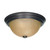 Satco | 60-1256 | 2 Light 13" Flush Mount Champagne Glass