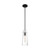 Satco | 60-6880 | Alondra 1 Light Mini Pendant Black/Clear Glass