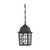 Satco | 60-4933 | Banyan Outdoor Hanging Light 11 in. Clear Water Glass