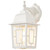 Satco | 60-4921 | Banyan 1 Light 12 in. Outdoor Wall Clear Water Glass