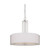 Satco | 60-4756 | Gemini 4 Light Pendant Slate Gray Shape