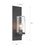 Satco | 60-6578 | Indie 1 Light Large Wall Sconce Textured Black Clear Seed