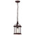 Satco | 60-4978 | Boxwood 1-Light 14 in. Outdoor Hanging Clear Beveled Glass