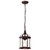Satco | 60-4978 | Boxwood 1-Light 14 in. Outdoor Hanging Clear Beveled Glass