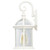 Satco | 60-4961 | Boxwood Outdoor Wall Light 15 in. Clear Seed Glass