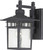 Satco | 60-4959 | Cove Neck Outdoor Lantern 1 Light 14 in. Clear Seed Glass