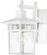 Satco | 60-4957 | Cove Neck Outdoor Lantern 1 Light 14 in. Clear Seed Glass