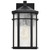 Satco | 60-5760 | Raiden Outdoor Wall Light 14" Matte Black Clear Seedy Glass