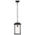 Satco | 60-7377 | Sullivan Outdoor 16" Hanging Light Matte Black Clear Seeded