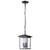 Satco | 60-5933 | Jamesport Outdoor 11" Hanging Light Matte Black Clear Glass