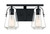 Satco | 60-7102 | Skybridge 2 Light Vanity Fixture Matte Black Finish Clear