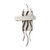 Satco 62-104 | Wave; LED Wall Sconce with Frosted Glass
