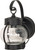 Satco | 60-3459 | 1 Light 10-5/8 in. Wall Onion Lantern Clear Seed Glass