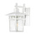 Satco | 60-3491 | Cove Neck 1 Light 12 in. Outdoor Lantern Clear Seed Glass