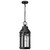 Satco | 60-8104 | Wilton 1 Light Hanging Lantern Matte Black Clear Seeded Glass