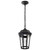 Satco | 62-5944 | East River 1 Light Outdoor Hanging Fixture LED SMART Starfish
