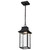 Satco | 62-5996 | Austen 1 Light Outdoor Hanging Fixture LED SMART Starfish