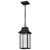 Satco | 62-5996 | Austen 1 Light Outdoor Hanging Fixture LED SMART Starfish