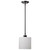 Satco | 60-8036 | Warren 8" Pendant Gun Metal/Satin White