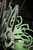 X054 Go Green Tree - Cut file