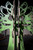 X054 Go Green Tree - Cut file