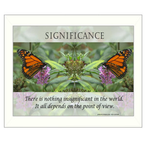 significance in a white frame significance in a white frame