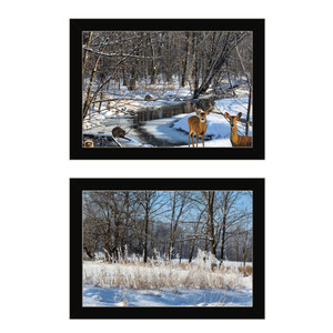 "Great Outdoors-Nature, Winter, Forest" in a black frame with sanded edges.