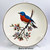 Avon Collector's Bluebird plate Image: © Modern2Historic