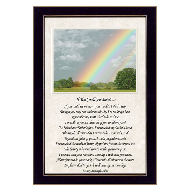 "If You Can See Me Now" (Double Rainbow) in a black frame