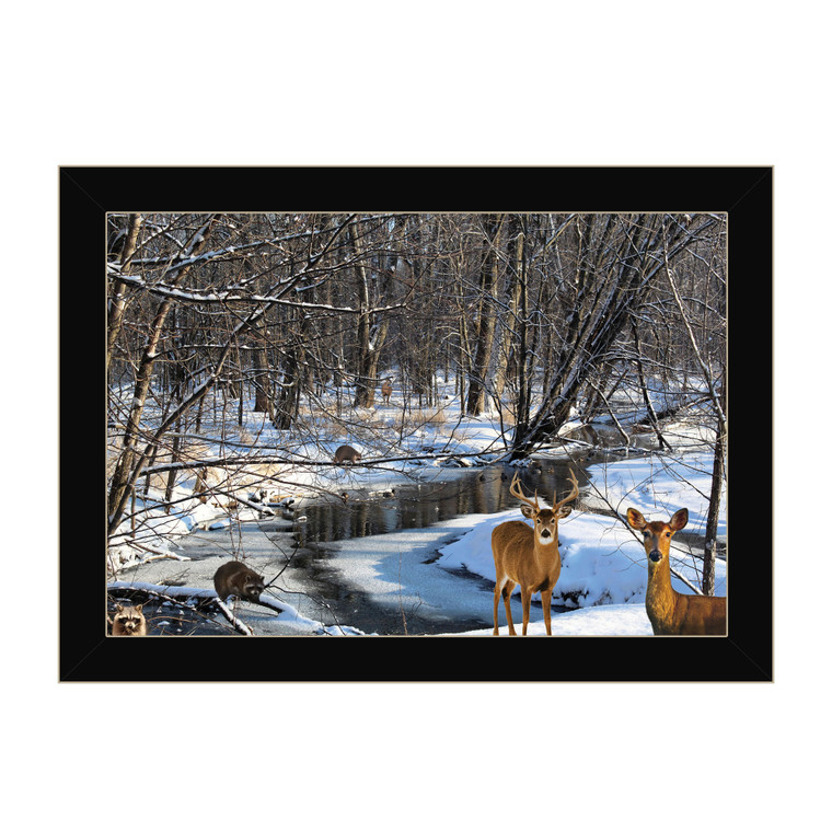 "Great Outdoors-Nature" in a black frame with sanded edges