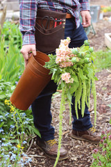 Get Ready for Spring Gardening in the Pacific Northwest!