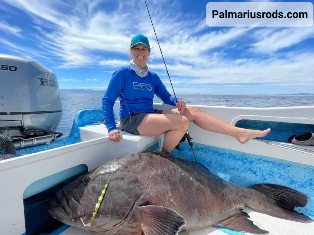 Massive Group caught on Palmarius P 66-2 Slow Pitch Rod Baja Sur Mexico Captain Lalo