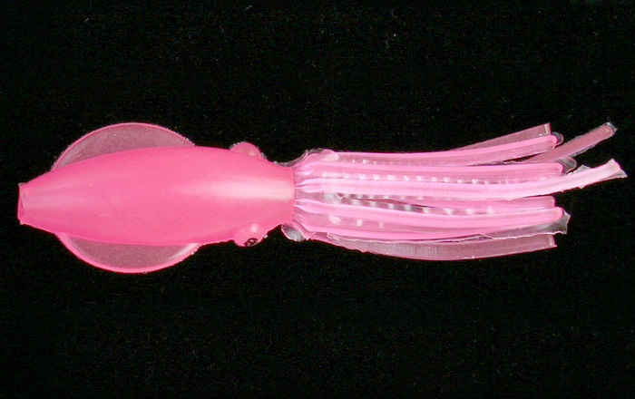 baby-cuttlefish-glowpink.jpg