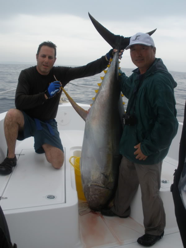 dan-harley-230-yellowfin-kil-trip-psfl-april-20092016-02-21-at-8.27.30-pm-17.jpg